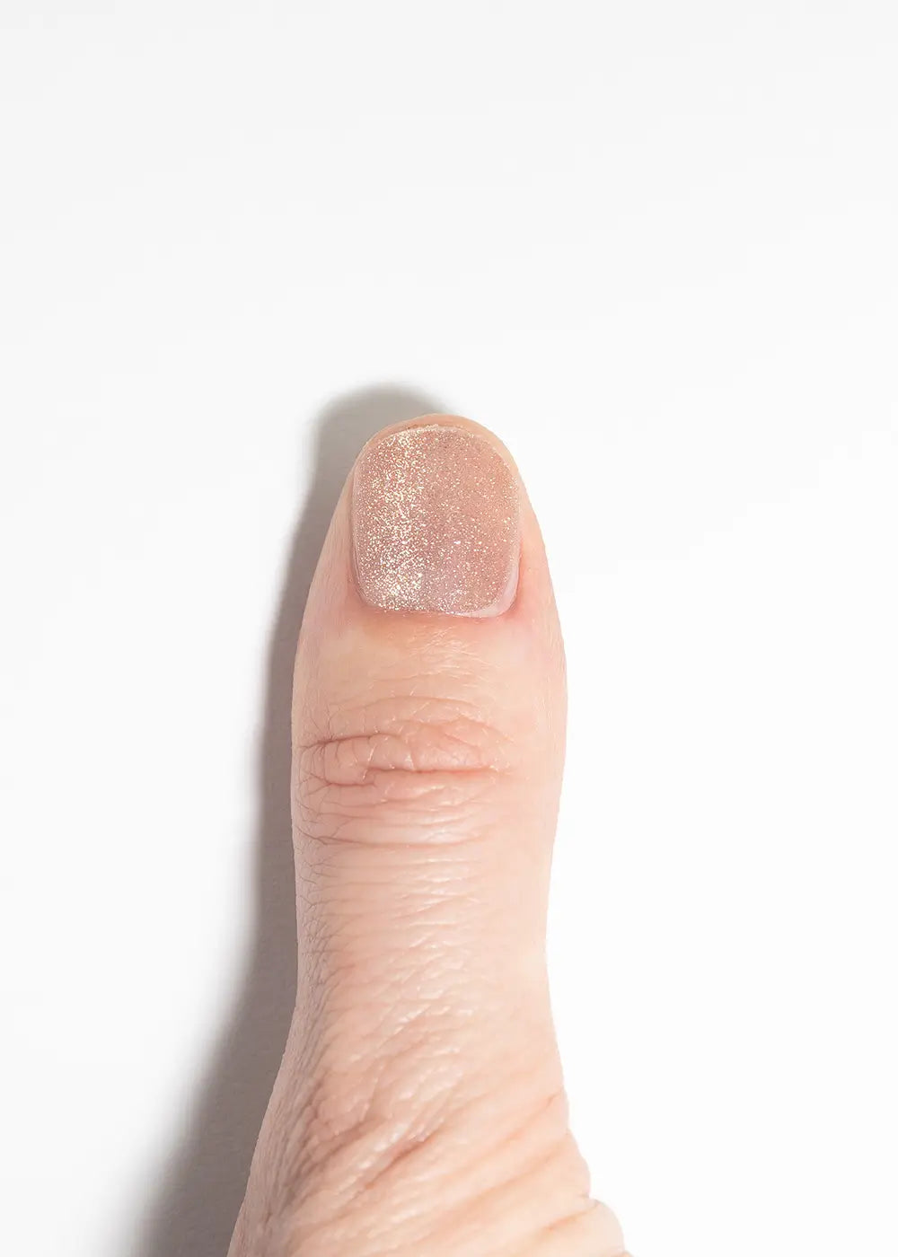 The No Champagne For A Dollar